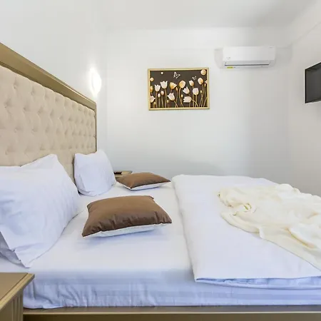 Guest house Brize 3*